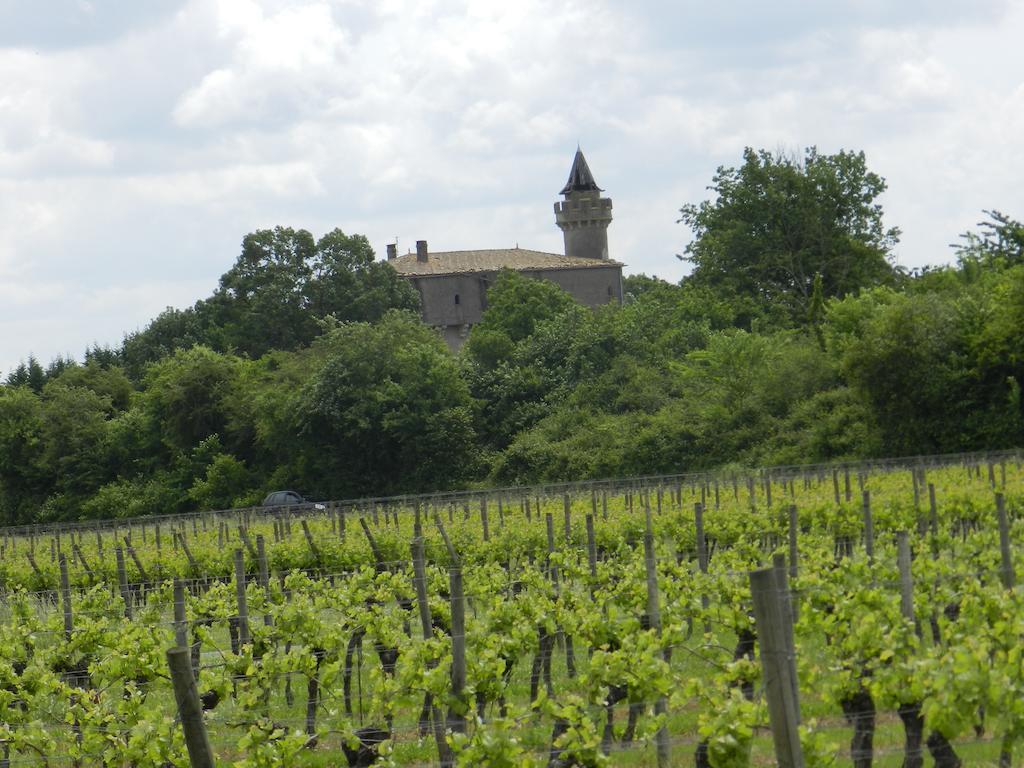 Montcaret Le Grand Chemin De La Vie Bed & Breakfast 部屋 写真