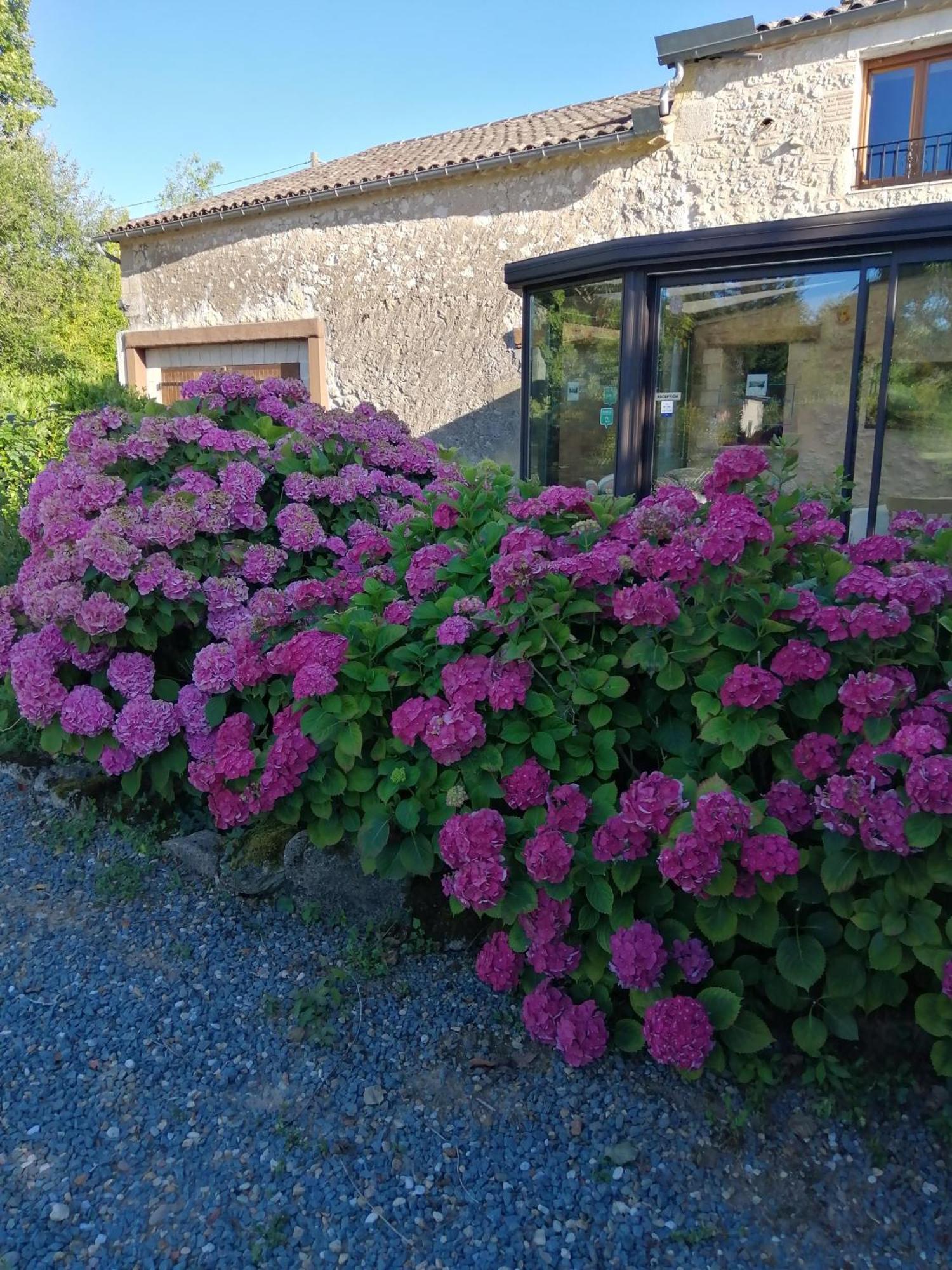Montcaret Le Grand Chemin De La Vie Bed & Breakfast エクステリア 写真