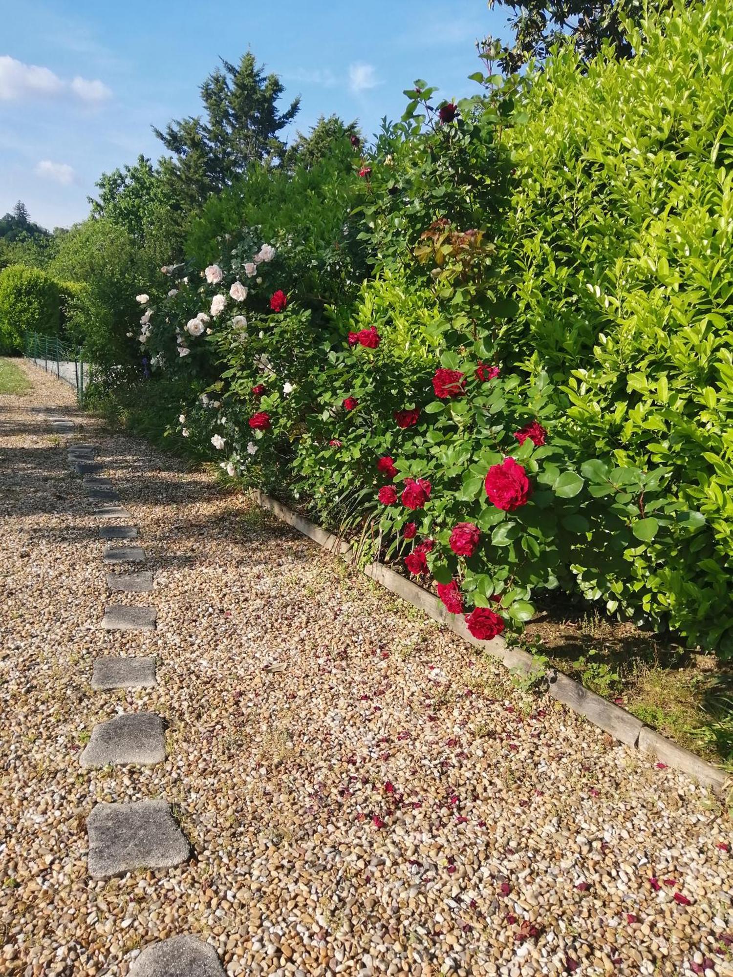 Montcaret Le Grand Chemin De La Vie Bed & Breakfast エクステリア 写真
